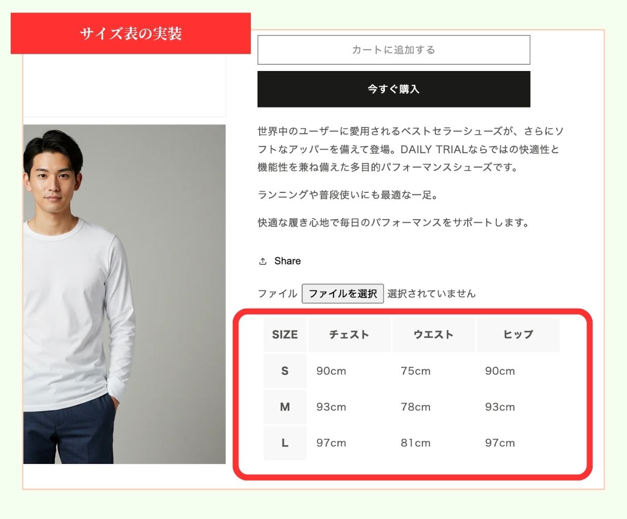 サイズ表設置